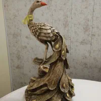 جاشمعی طاووس