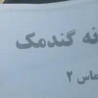 وردست و شاطر