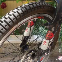 دوچرخه فروشی