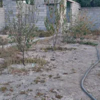 فروش باغ لاهیجان خسروشاه|فروش خانه و ویلا|خسروشاه, |دیوار