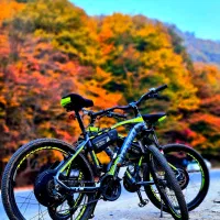 دوچرخه برقی و کیت برقی کردن دوچرخه - وارداتی