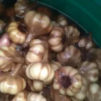 ترشیجات|خوردنی و آشامیدنی|رشت, شهرک قدس|دیوار