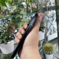 Iphone 16 Pro رنگ مشکی|موبایل|مشهد, هفده شهریور|دیوار