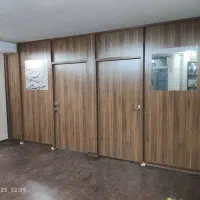 پارتیشن لیون تیره