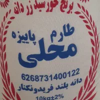 برنج طارم محلی فریدونکنار امسالی به شرط خالص|خوردنی و آشامیدنی|اصفهان, رزمندگان|دیوار