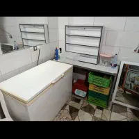 وسایل مرغ فروشی یخچال و فریزر و تخته کار ترازو میز|فروشگاه و مغازه|شیراز, شهرک گلستان|دیوار