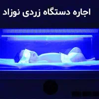 اجاره دستگاه  زردی نوزادان ( فتوتراپی) دارای مجوز
