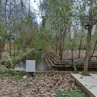 یک تصمیم، هزارلحظه آرام|فروش خانه و ویلا|مشهد, ولیعصر (شهرک غرب)|دیوار