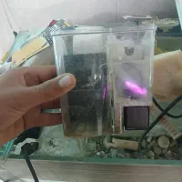 آکواریوم|ماهی|ملایر, |دیوار