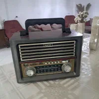 رادیو فلش خور