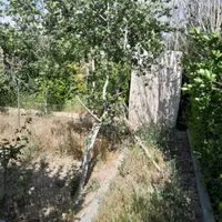 باغچه آماده درختان میوه ۷ ساله منطقه ۱۸ تهران|فروش زمین و ملک کلنگی|تهران, شهرک دریا|دیوار