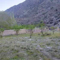 دلفارد زمین بنستان سنگفرش(تکبرگ)