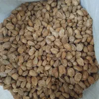بادام فریخ مغز پر یک رقم