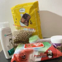 لوازم سگ|لوازم جانبی حیوانات|رشت, امین الضرب|دیوار