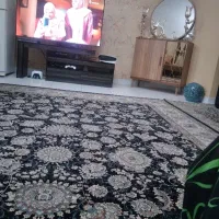 محافظ تلویزیون ۵۵