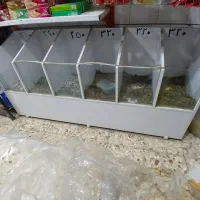 استند تخمه.برای سوپر مارکت