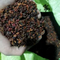 زرشک قرمز و زغال اخته خشک|عمده‌فروشی|شهریار, شهرک وائین|دیوار