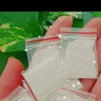 پودر شپش