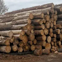 خرید چوب با سلام خدمت همشهریان محترم