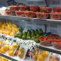 کارگر میوه فروشی ماهر به فروشندگی|استخدام خدمات فروشگاه و رستوران|قم, باغ کرباسی|دیوار