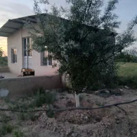 باغ