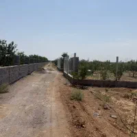 مامونیه-زمین-باغچه-چهاردیواری-سند-تک-برگ