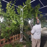 سمپاشی و باغبانی صفر تا صد ومشکلات باغ