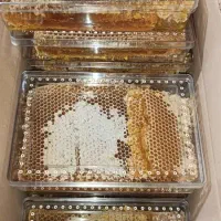 عسل طبیعی کوهستان اصل وبا ضمانت، عسل سماق