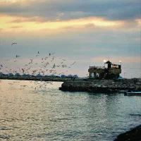 آشپز وباریستا حرفه ای