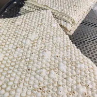 نان لواش تازه با کیفیت تعداد بالا