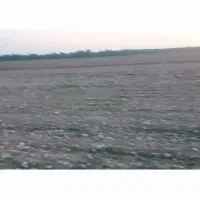 فروش ۱۰۰هکتار زمین کشاورزی وچراگاه دامداری سرخه