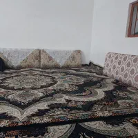 راهنمایی کنید هم اتاقی