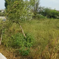 زمین۱۵۰متری پلاک شده آماده‌ ساخت/سندتکبرگ