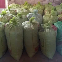 کودیابارکفتر|خدمات باغبانی و درختکاری|بردسکن, |دیوار