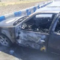 پژوتصادفی