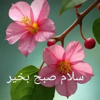 فروش آپارتمان، خیابان مولوی