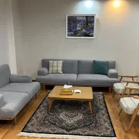 ست مبلمان Rost|مبلمان خانگی و میز عسلی|تهران, دکتر هوشیار|دیوار