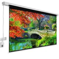 پرده برقی پروژکتور|تلویزیون و پروژکتور|بندر گناوه, |دیوار