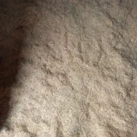 کاه خرمنکوب گندم های دیمه