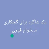 شاگرد برای گچکاری میخوام