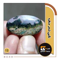 نگین شجر منظره