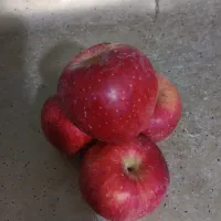 سیب قرمز و سفید