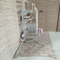 قفس کاسکویی