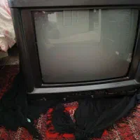 تلویزیون|تلویزیون و پروژکتور|گلبهار, شهر جدید گلبهار|دیوار