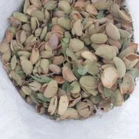 پوسته بادام