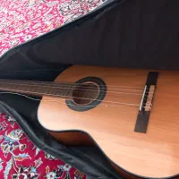 گیتار آموزشی رویال|گیتار، بیس، امپلیفایر|همدان, |دیوار