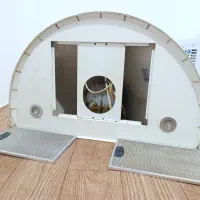 هود سالم|هود|سراب, |دیوار