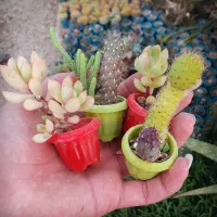 گل مینیمال بندانگشتی