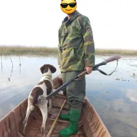 سگ شکاری پوینتر فول شکار