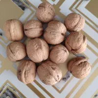 گردو خرم آباد